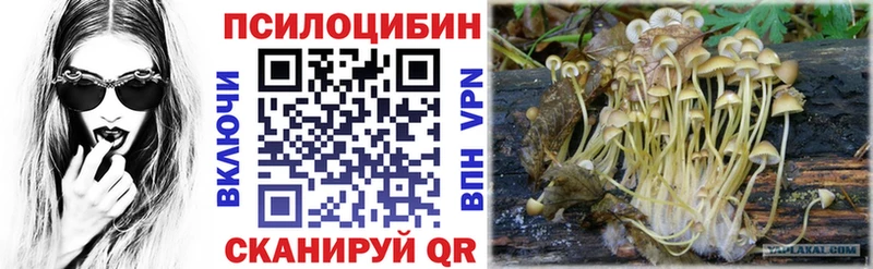 Псилоцибиновые грибы Psilocybine cubensis это клад Приморск